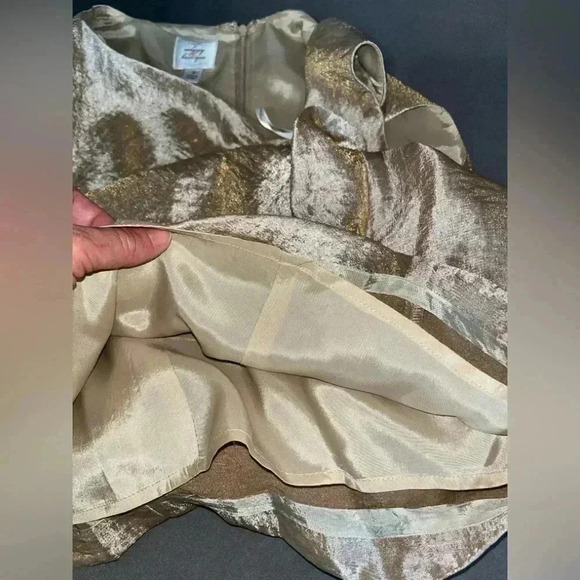 Suzy Chin for Maggy Boutique NWT Oyster Cocktail occasion Dress, zip back - Picture 7 of 9